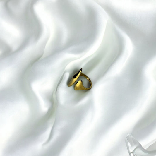 Nourayn ring